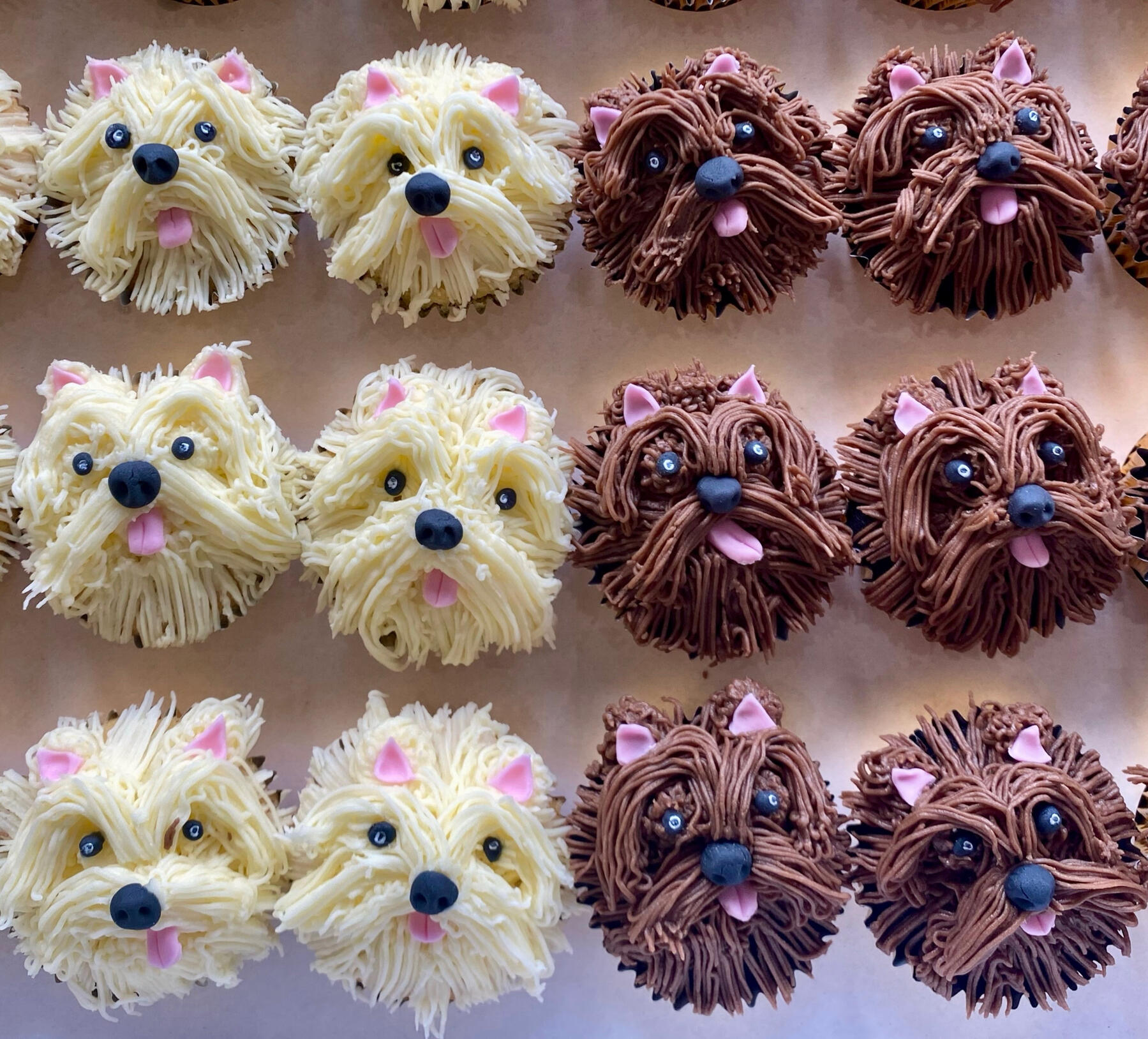 Chocolate dog cupcakes